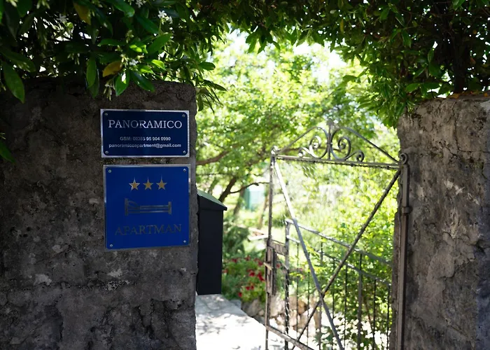 Panoramico אופטיה